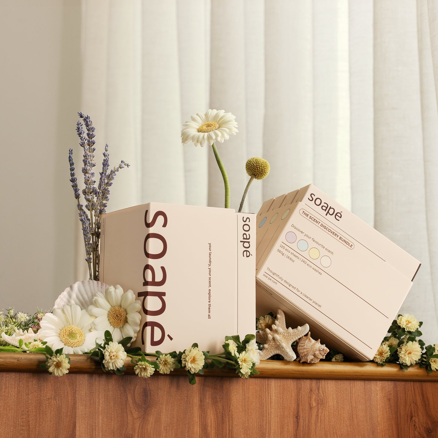 The Scent Discovery Bundle